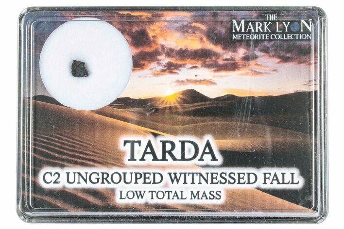 Tarda Meteorite Fragment - Witnessed Fall! #304598